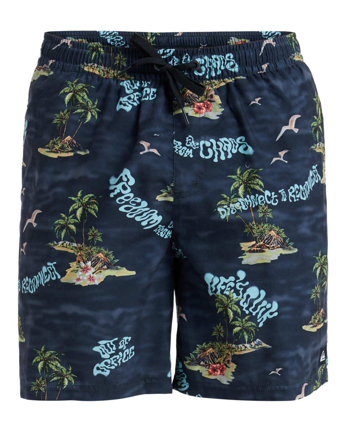 Quiksilver Schwimmshorts EVERYDAY STRAIGHT VOLLEY 17