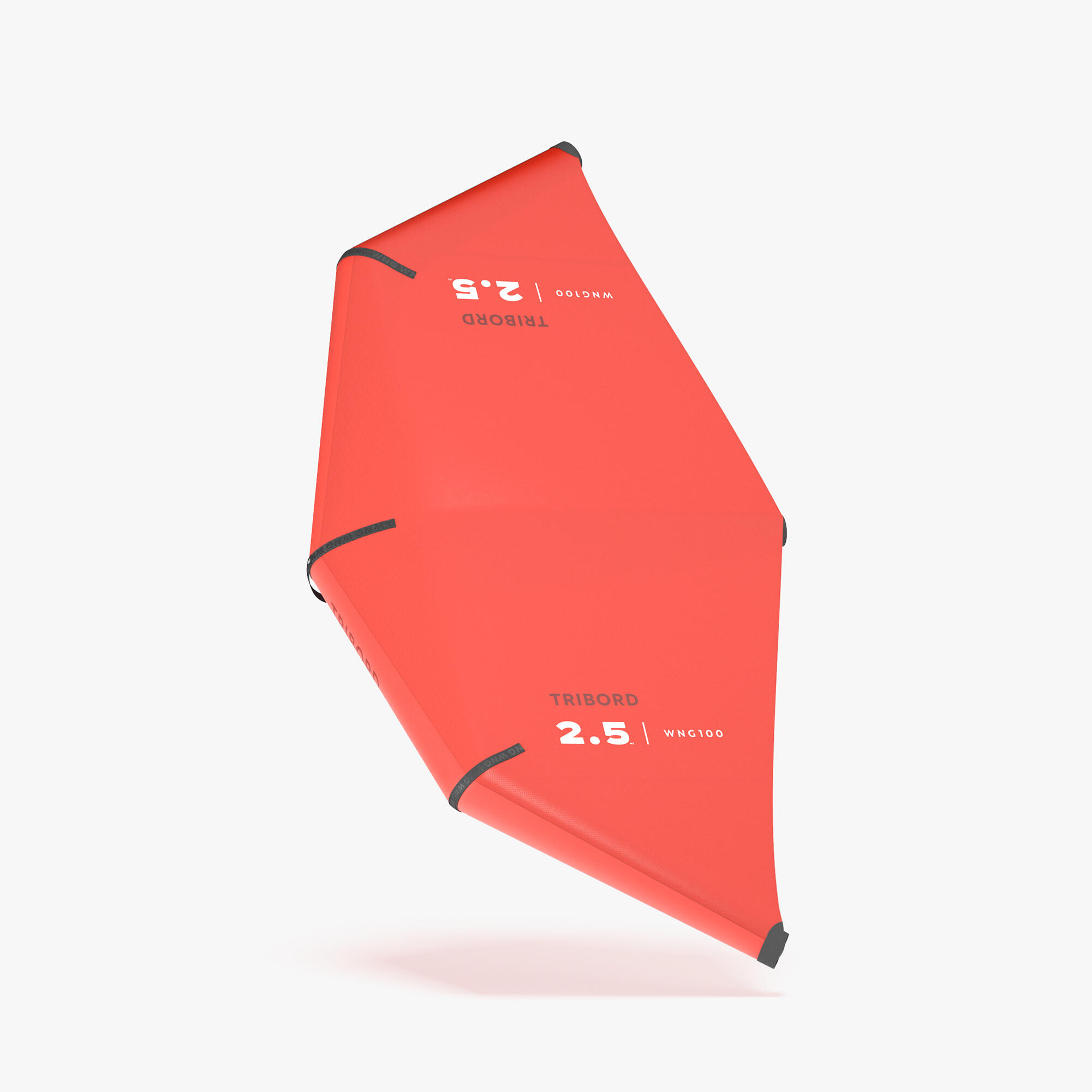 Decathlon Wing WNG 100 2,5 m²