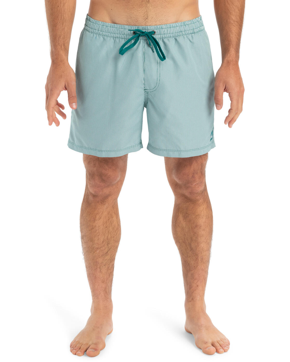Quiksilver Schwimmshorts EVERYDAY DELUXE 15