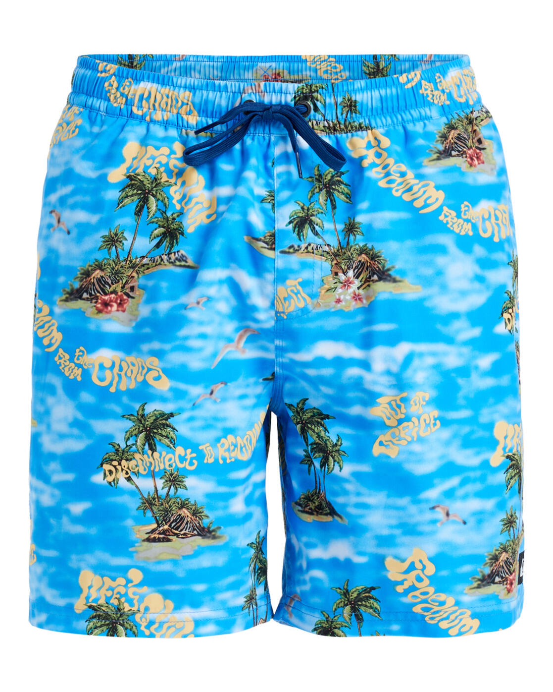 Quiksilver Schwimmshorts EVERYDAY STRAIGHT VOLLEY 17