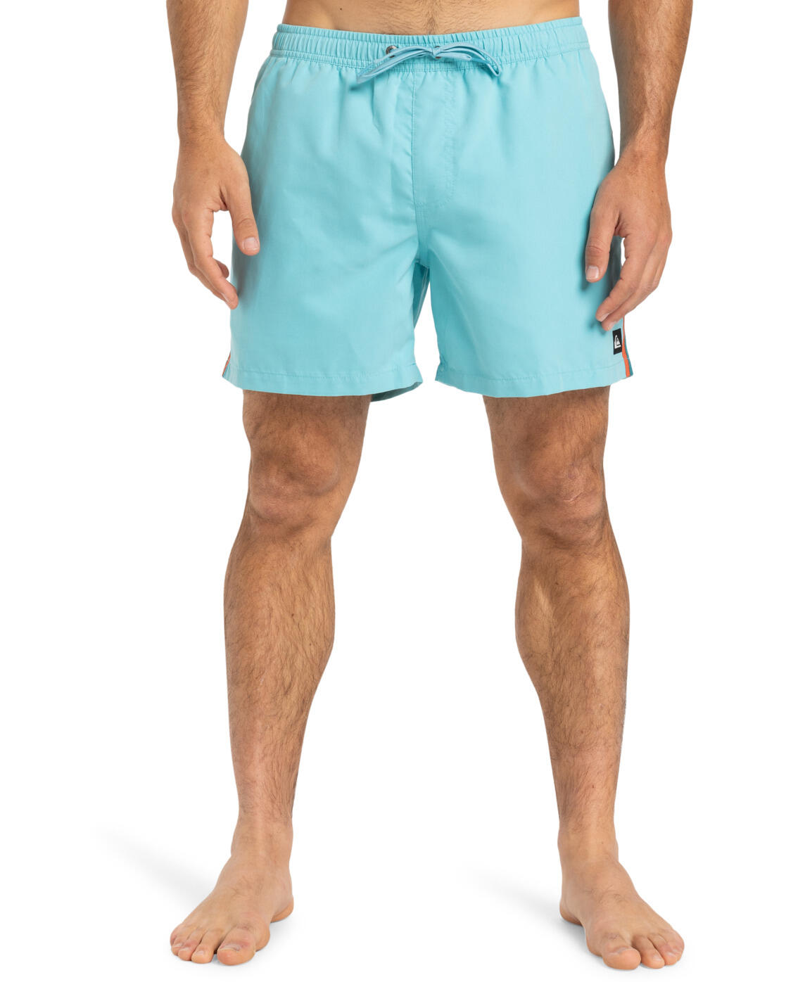 Quiksilver Schwimmshorts EVERYDAY BEACH 15